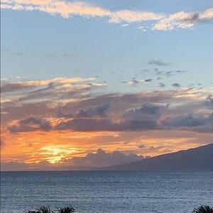 Meet your Posher, Saylor